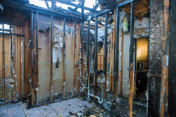 Professional Fire Damage Assessment technician working in Hugo, MN