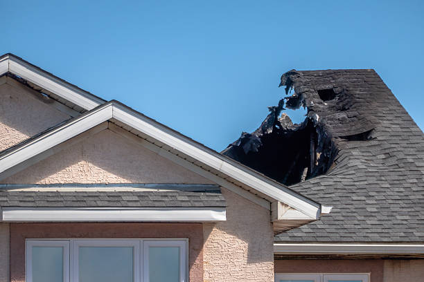 Top rated local Fire Damage Assessment specialists in Hugo, MN